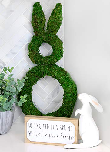 Easter Spring Moss Wreath Base - sh1648ah1Moss