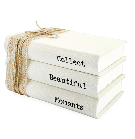 Faux Book Stack: Collect Beautiful Moments (Case of 4) - SH_1931_CASE