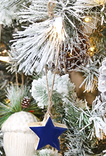 Farmhouse Star Ornaments (Blue, Case of 720) - SH_2046_CASE