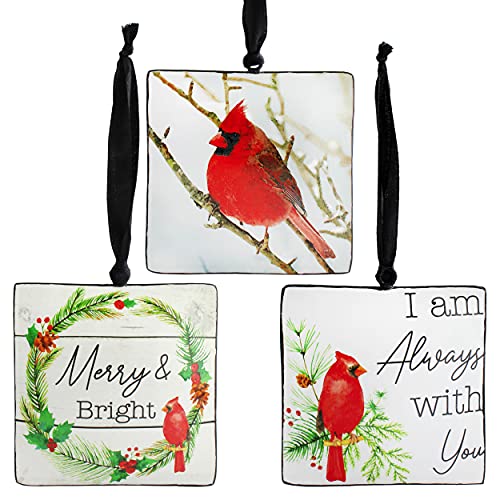 Metal Christmas Cardinal Ornaments (Set of 6) - sh2028ah1Bird